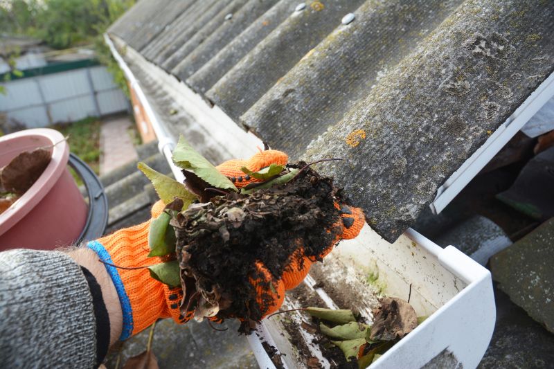 Gutter Leaf Clearing in Richmond, VA